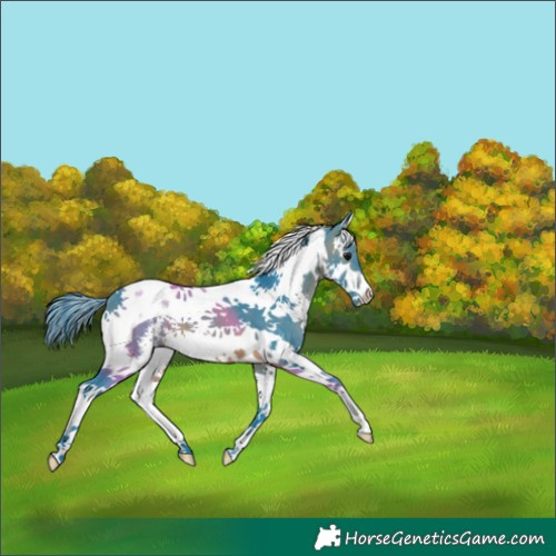 Horse Color:Watercolor Brown Sabino Splash Tobiano 