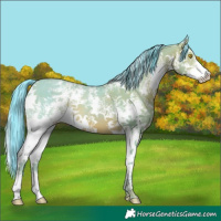 Horse Color:Watercolor Sable Champagne Sabino 