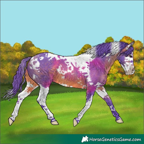 Horse Color:Watercolor Bay Splash Tobiano 