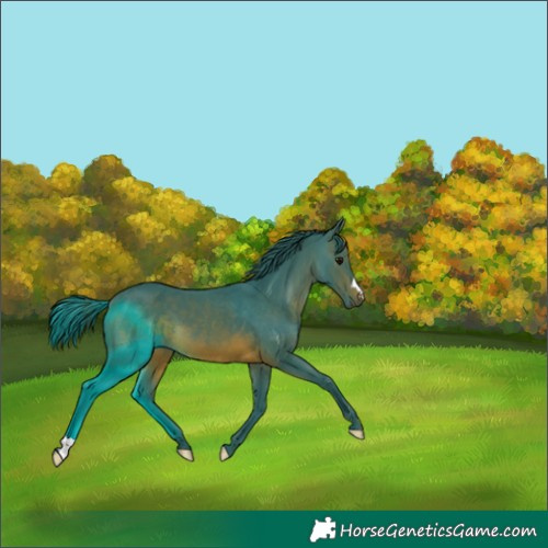 Horse Color:Watercolor Brown 