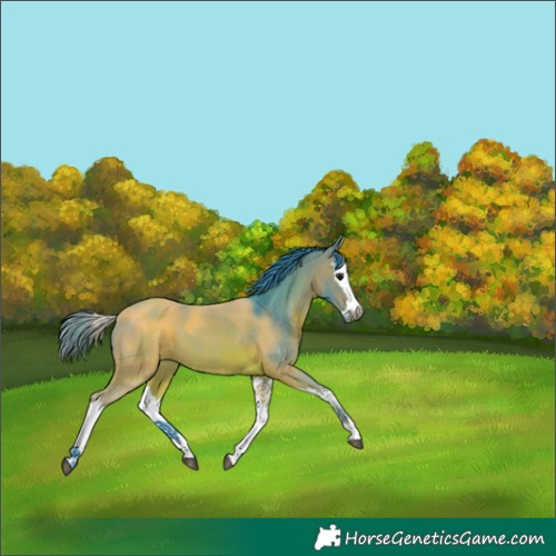 Horse Color:Watercolor Bay Splash 