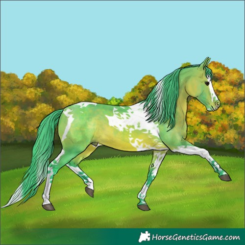 Horse Color:Watercolor Bay Splash Tobiano 