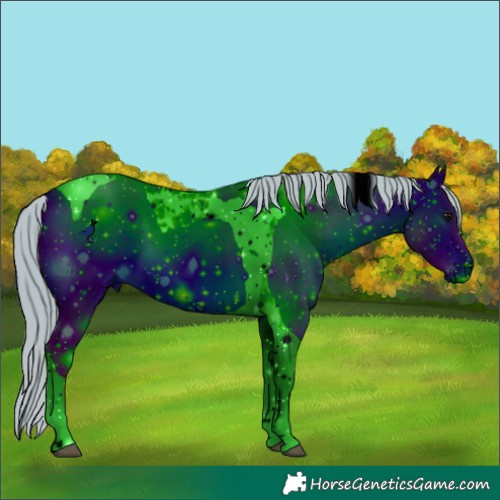 Horse Color:ERROR: UNKNOWN ANOMALY