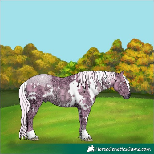 Horse Color:Watercolor White Spotted Silver Black Chinchilla Ice Rabicano 