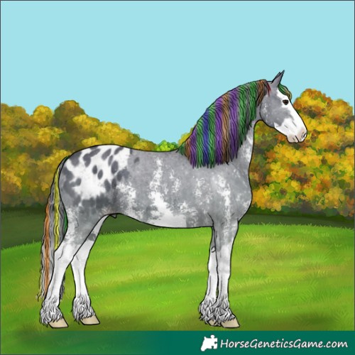 Horse Color:Painted Black Sabino Splash Appaloosa 