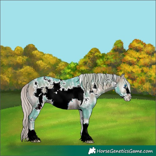 Horse Color:Watercolor White Spotted Silver Brown Ice Onyx Frame 