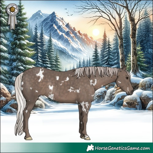 Horse Color:White Spotted Silver Black Rabicano 