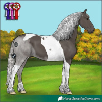 Horse Color:Silver Black Tobiano 