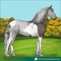 Horse Color:Silver Black Tobiano