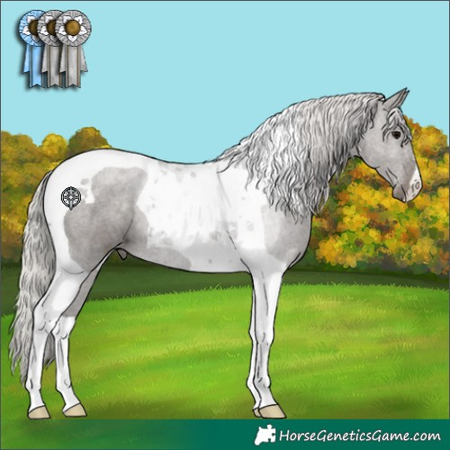 Horse Color:Silver Black Tobiano 