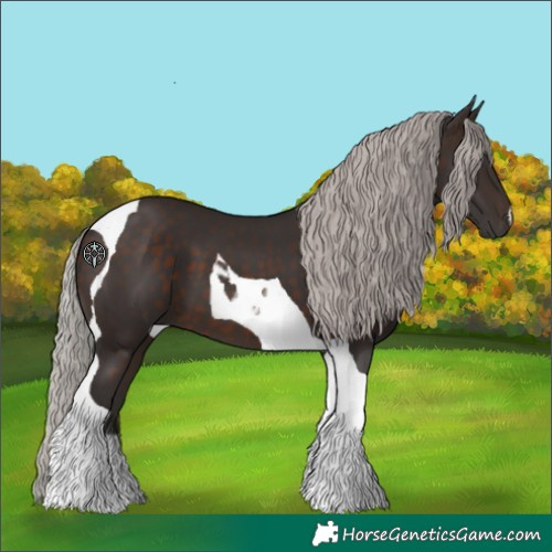 Horse Color:Silver Brown Tobiano 