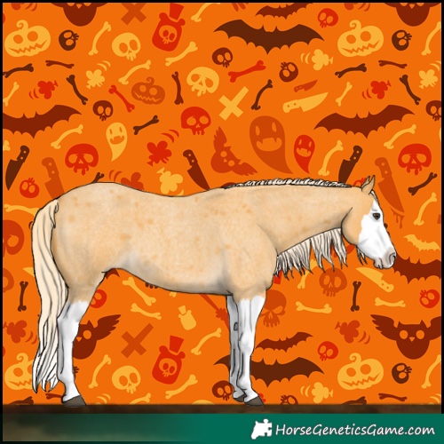 Horse Color:Palomino Roan Splash 