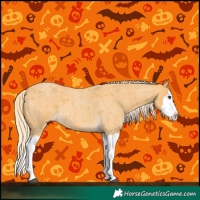 Horse Color:Palomino Roan Splash 
