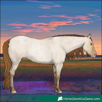 Horse Color:Gray Smoky Grullo Roan Pearl
