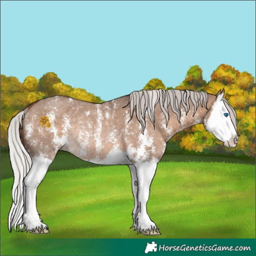 Horse Color:Silver Brown Dun Sabino Splash Rabicano 
