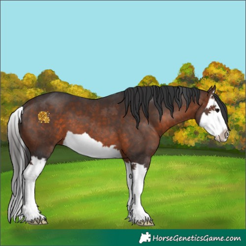 Horse Color:Brown Splash 
