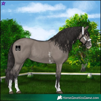 Horse Color:Smoky Grullo Sabino Rabicano