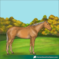 Horse Color:Palomino  and Palomino 