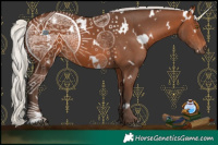 Horse Color:White Spotted Silver Brown