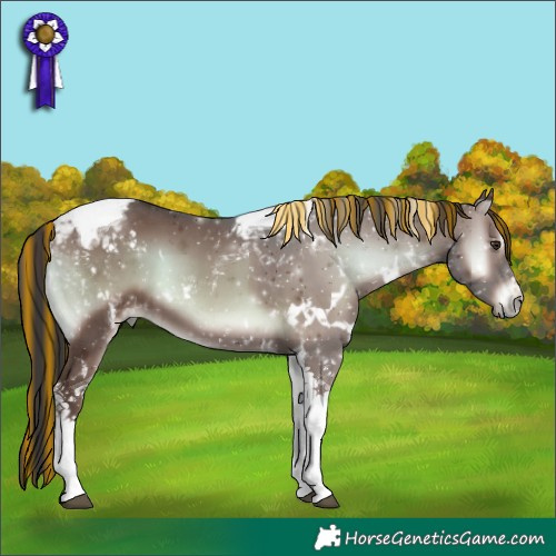 Horse Color:Painted White Spotted Liver Red Onyx Tobiano 