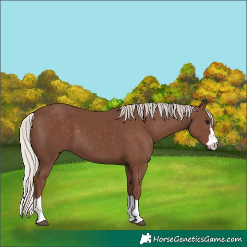 Horse Color:Silver Black 
