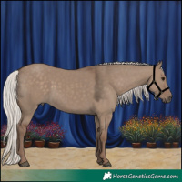 Horse Color:Silver Grullo