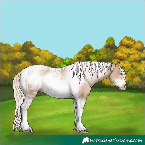 Horse Color:Chocolate Palomino Pearl Tobiano Frame  and Chocolate Palomino Pearl Tobiano Frame 