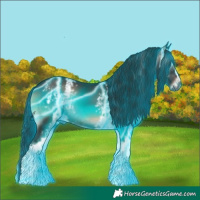 Horse Color:Gray Thunderstruck White Spotted Blue Onyx