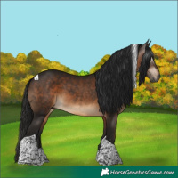 Horse Color:Gray Bay Tobiano
