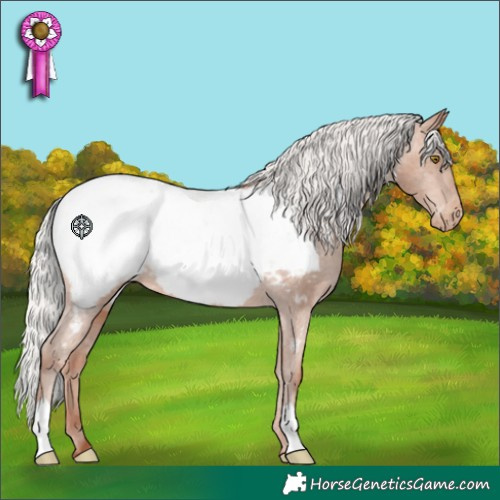 Horse Color:Silver Sable Champagne Appaloosa 