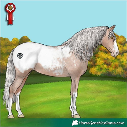 Horse Color:Silver Sable Champagne Appaloosa 