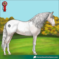 Horse Color:Silver Sable Champagne Appaloosa 