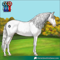 Horse Color:Silver Sable Champagne Appaloosa 