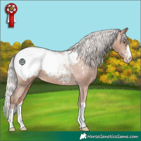 Horse Color:Silver Sable Champagne Appaloosa 