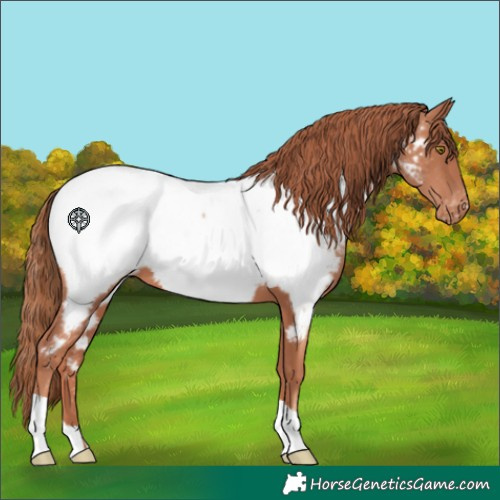 Horse Color:Gold Champagne Near Fewspot 