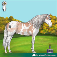 Horse Color:White Spotted Silver Sable Champagne Splash 