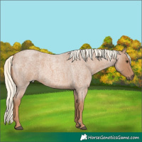 Horse Color:Red Roan Mushroom 