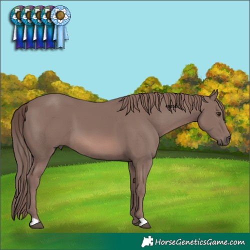 Horse Color:Platinum Chestnut 