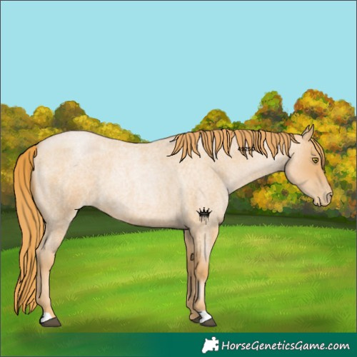 Horse Color:Red Roan Pearl 