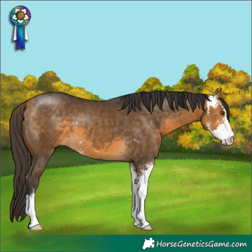 Horse Color:Buckskin Sabino 
