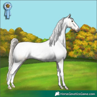 Horse Color:Palomino Snowcap 