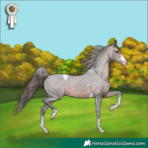 Horse Color:Brown Snowcap