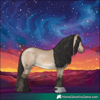 Horse Color:Brown Dun 