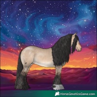 Horse Color:Brown Dun 