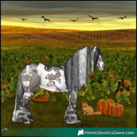 Horse Color:Grullo Splash Tobiano