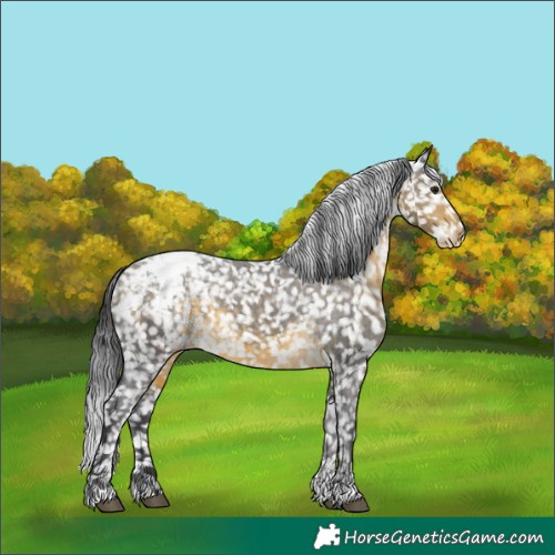 Horse Color:Buckskin Snowcap