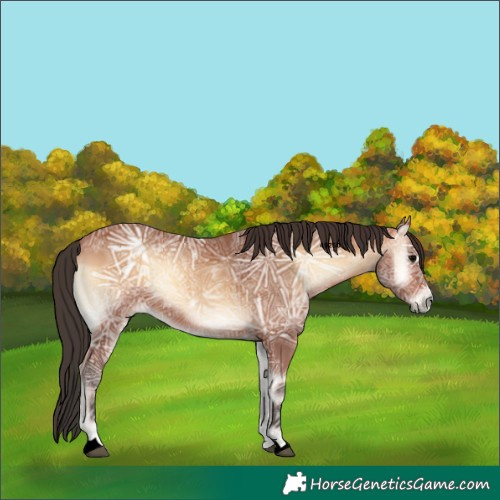 Horse Color:Void Bay Ice Onyx 