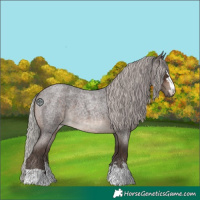 Horse Color:Silver Brown Roan 