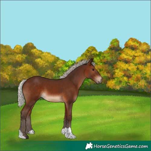 Horse Color:Silver Brown 