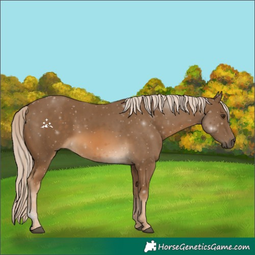 Horse Color:Chocolate Palomino 